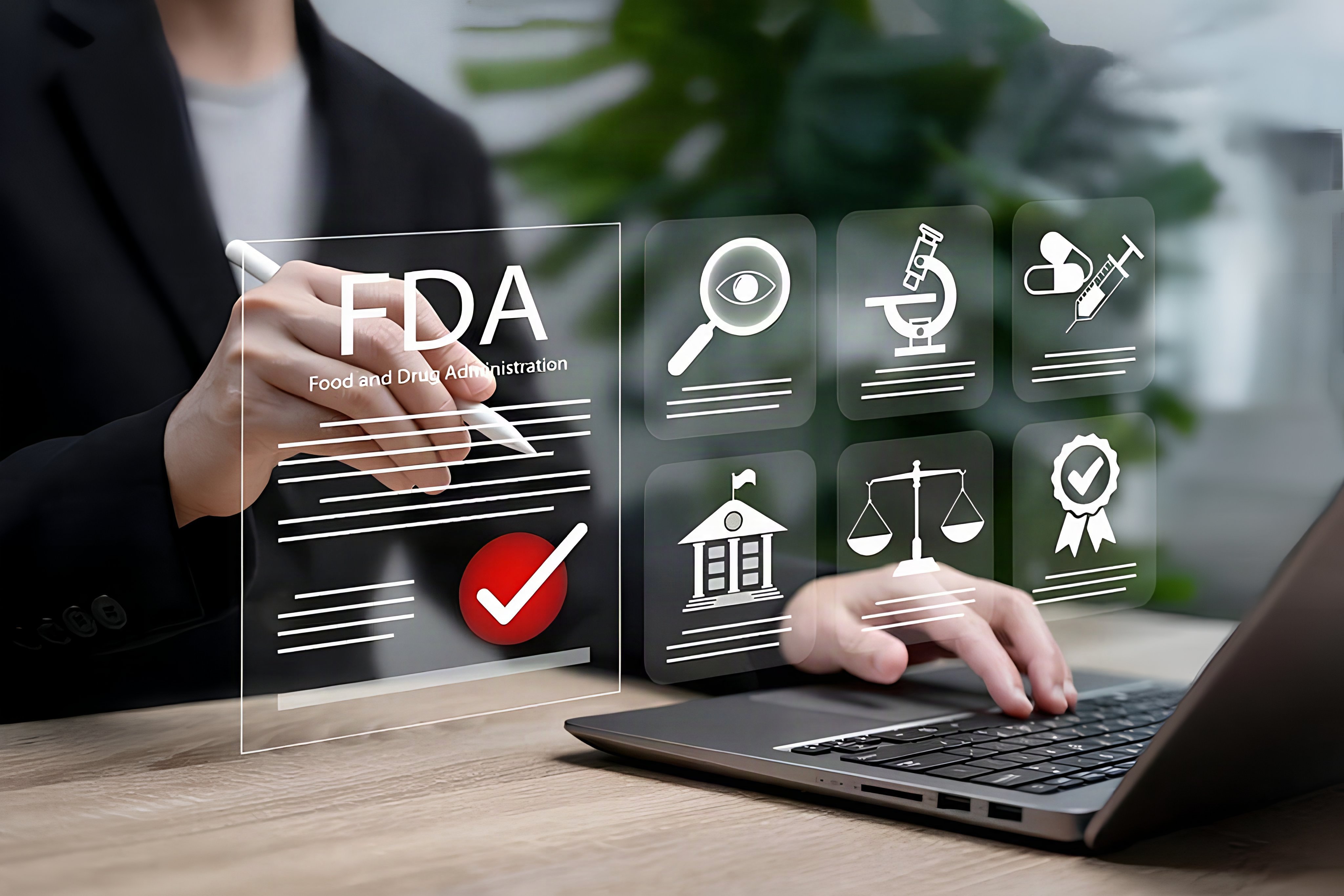 FDA establishment registration on laptop