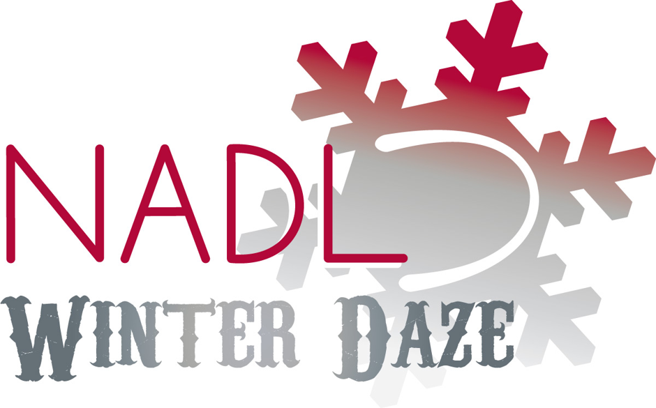 SafeLink Presents Seminar at NADL Winter Daze